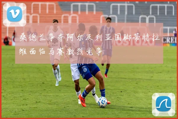 桑德兰争夺阿尔及利亚国脚蒂特拉维面临马赛激烈竞争